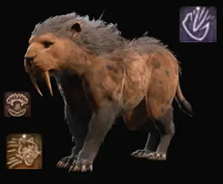 《柏德之門3》德魯伊動物形態介紹