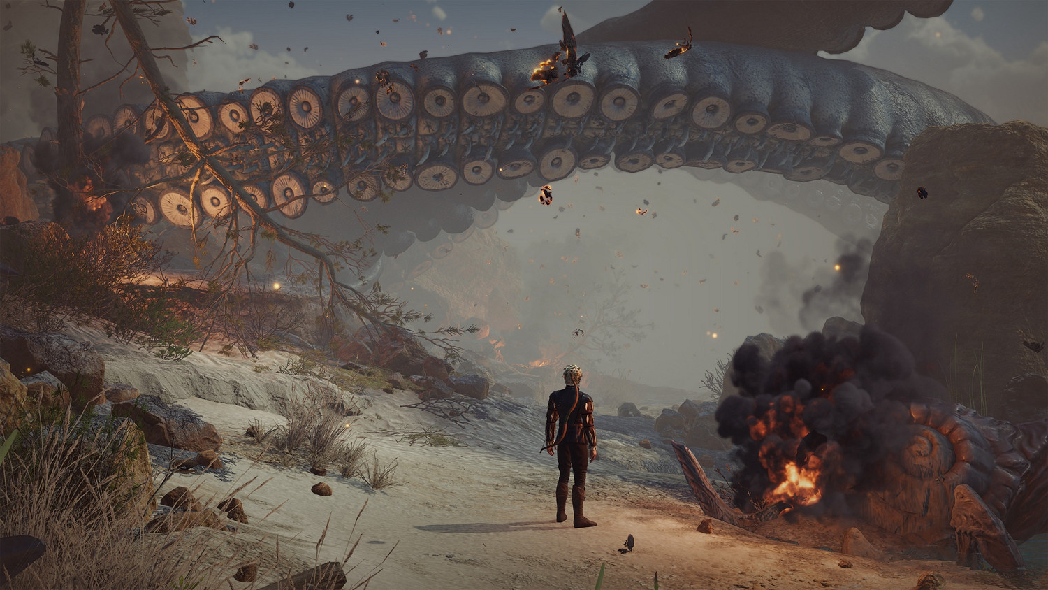 《柏德之門3》榮譽模式主角bd裝備加點推薦 《柏德之門3》榮譽模式主角bd裝備加點推薦