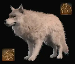 《柏德之門3》德魯伊動物形態介紹