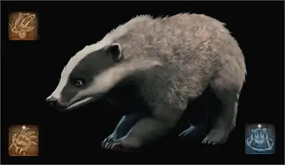 《柏德之門3》德魯伊動物形態介紹