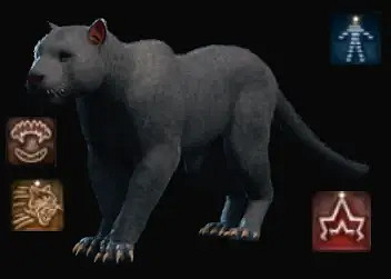 《柏德之門3》德魯伊動物形態介紹