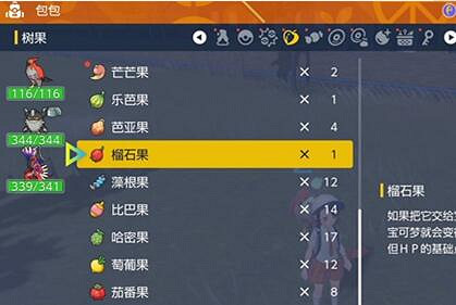 《寶可夢朱紫》刷努力值方法推薦