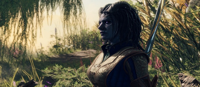 《柏德之門3》第一梯隊職業介紹