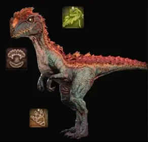 《柏德之門3》德魯伊動物形態介紹