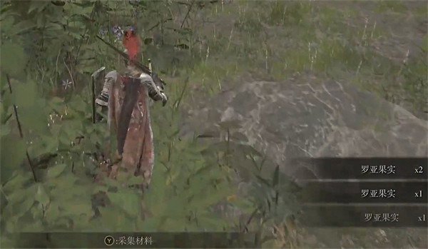 《艾爾登法環》加攻擊力食物獲取方法 《艾爾登法環》加攻擊力食物獲取方法