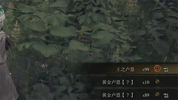 《艾爾登法環》盧恩贈送方法 《艾爾登法環》盧恩贈送方法