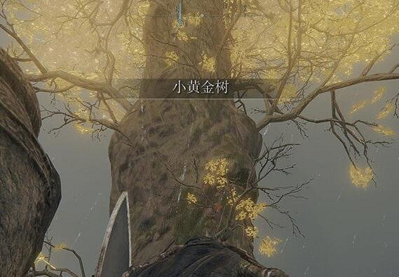 《艾爾登法環》地圖示誌說明 《艾爾登法環》地圖示誌說明