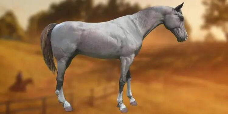 《荒野大鏢客2》最快的馬介紹