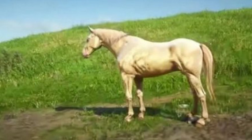 《荒野大鏢客2》布埃爾馬獲得方法介紹