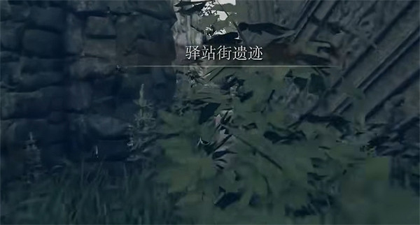 《艾爾登法環》觀星者刷盧恩方法 《艾爾登法環》觀星者刷盧恩方法