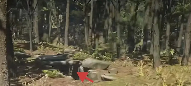 《荒野大鏢客2》維京頭盔獲取攻略