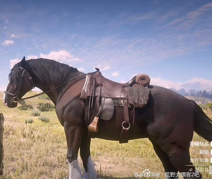 《荒野大鏢客2》頂級馬匹獲取攻略 《荒野大鏢客2》頂級馬匹獲取攻略