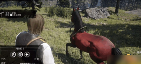 《荒野大鏢客2》紅色阿拉伯馬位置介紹 《荒野大鏢客2》紅色阿拉伯馬位置介紹