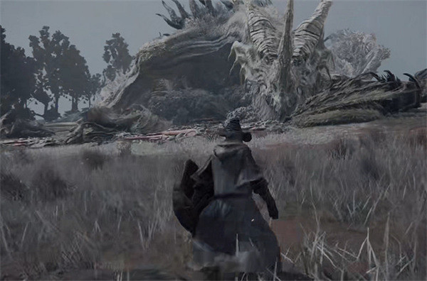 《艾爾登法環》龍能否都殺說明 《艾爾登法環》龍能否都殺說明