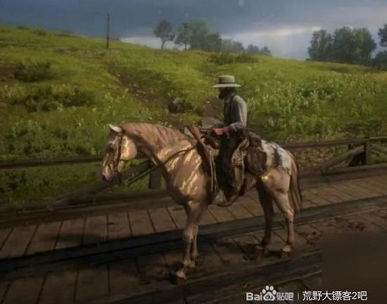 《荒野大鏢客2》頂級馬匹獲取攻略 《荒野大鏢客2》頂級馬匹獲取攻略
