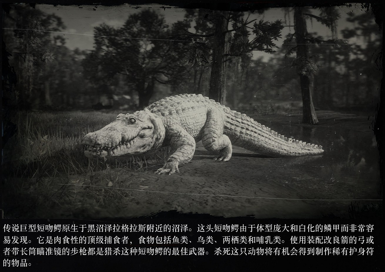 《荒野大嫖客2》傳說鱷魚位置分享