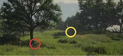 《荒野大鏢客2》傳說郊狼位置介紹