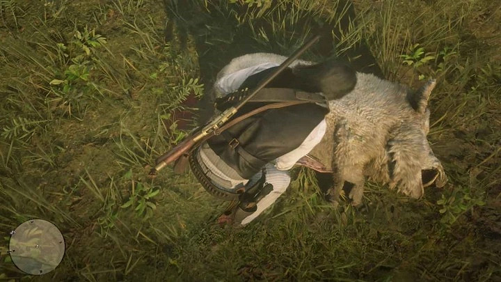 《荒野大嫖客2》傳說野豬位置分享