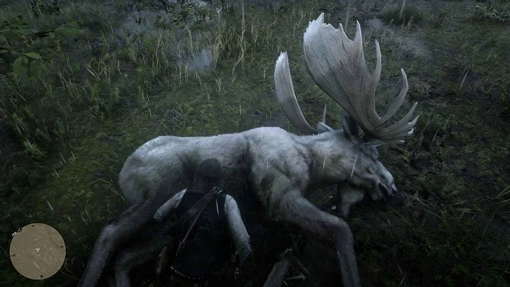 《荒野大嫖客2》傳說駝鹿位置分享