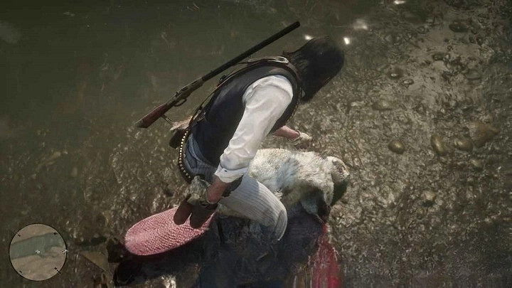 《荒野大嫖客2》傳說河狸位置分享