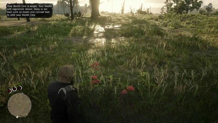 《荒野大嫖客2》西洋蓍草採集點分享