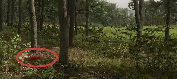 《荒野大鏢客2》傳說山獅賈古阿羅位置介紹