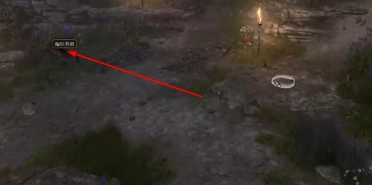 《柏德之門3》蜘蛛裡拉琴用處介紹 《柏德之門3》蜘蛛裡拉琴用處介紹