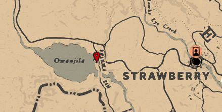 《荒野大嫖客2》全釣魚地點一覽 《荒野大嫖客2》全釣魚地點一覽