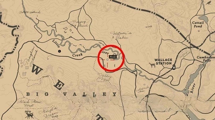 《荒野大嫖客2》美國血種馬位置一覽