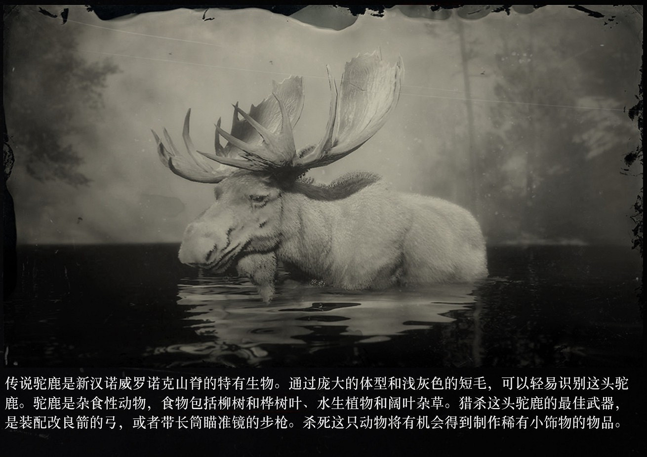 《荒野大嫖客2》傳說駝鹿位置分享