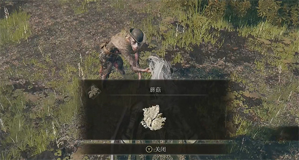 《艾爾登法環》樹人位置介紹 《艾爾登法環》樹人位置介紹