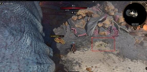 《柏德之門3》起源角色位置介紹 《柏德之門3》起源角色位置介紹