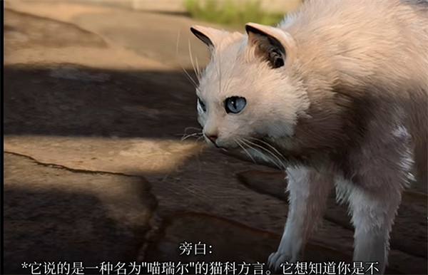 《柏德之門3》方言貓獲取方式 《柏德之門3》方言貓獲取方式