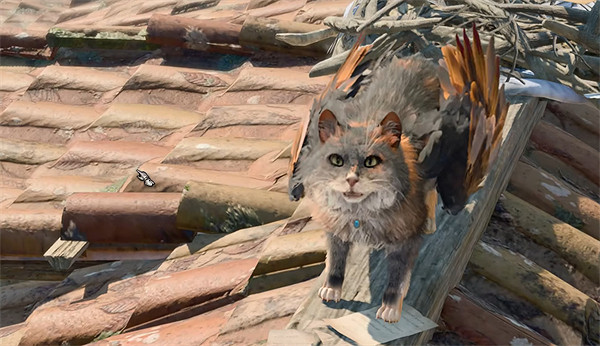 《柏德之門3》翼貓位置 《柏德之門3》翼貓位置