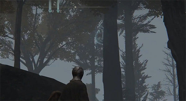 《艾爾登法環》樹上的烏龜打法介紹 《艾爾登法環》樹上的烏龜打法介紹