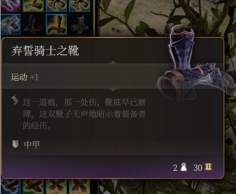 《柏德之門3》棄誓騎士裝備介紹 《柏德之門3》棄誓騎士裝備介紹