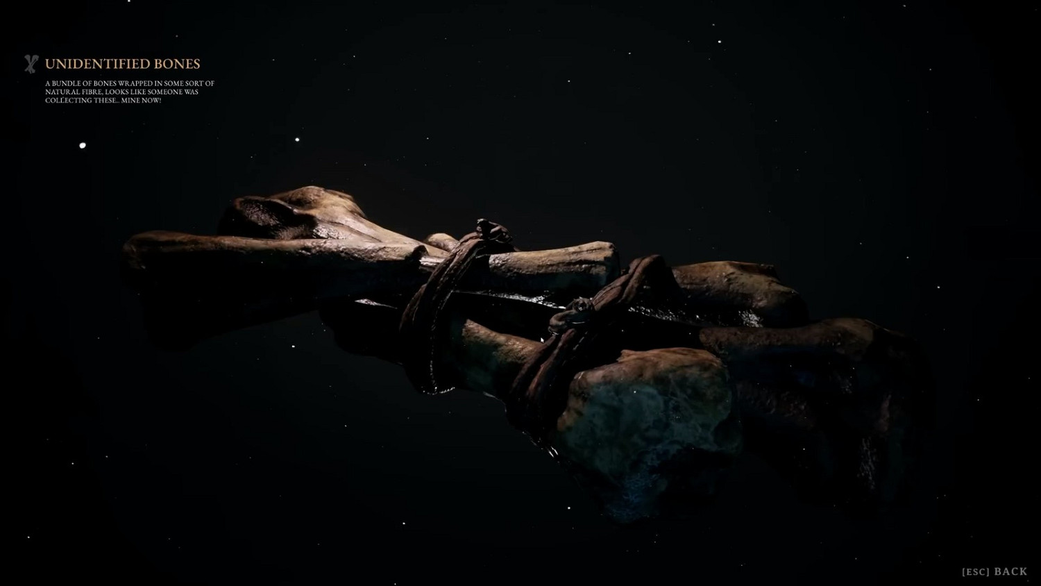 恐龍生存新作《Instinction》曝7分鐘實機