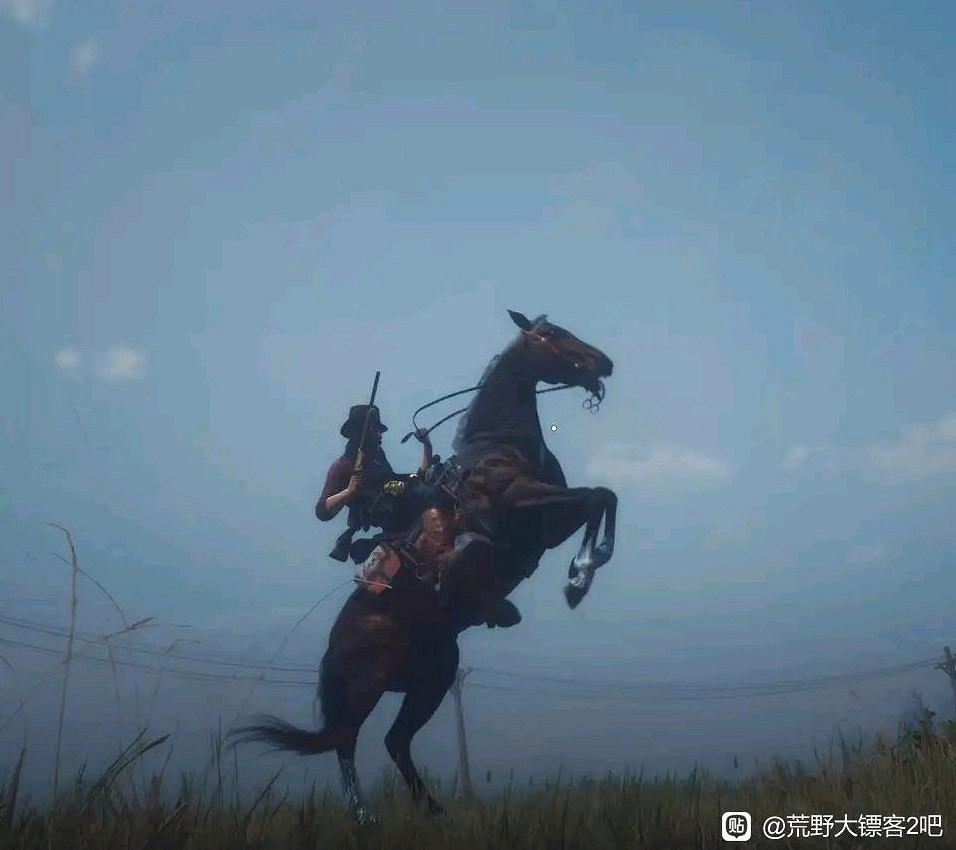 《荒野大鏢客2》馬匹排名及獲取方法 《荒野大鏢客2》馬匹排名及獲取方法