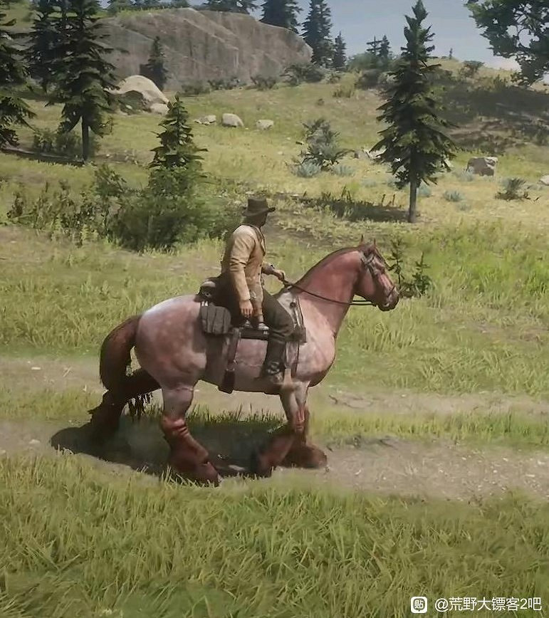 《荒野大鏢客2》馬匹排名及獲取方法 《荒野大鏢客2》馬匹排名及獲取方法