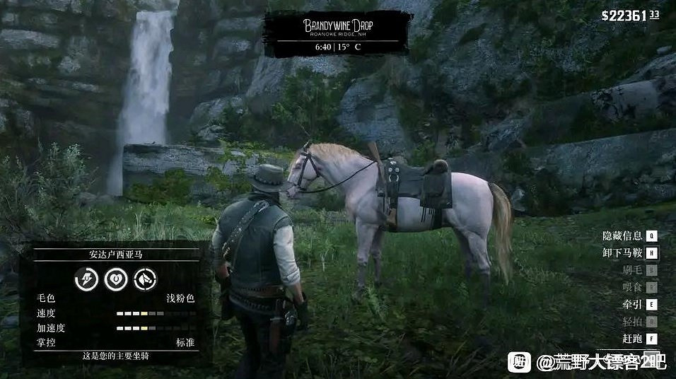 《荒野大鏢客2》馬匹排名及獲取方法 《荒野大鏢客2》馬匹排名及獲取方法