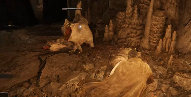 《艾爾登法環》光碟是韓文原因 《艾爾登法環》光碟是韓文原因