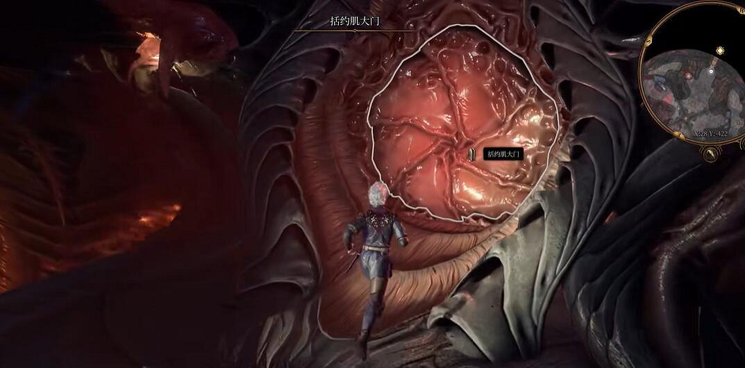 《柏德之門3》逃離鸚鵡螺方法分享