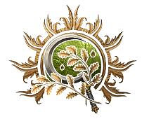 《柏德之門3》入門職業推薦