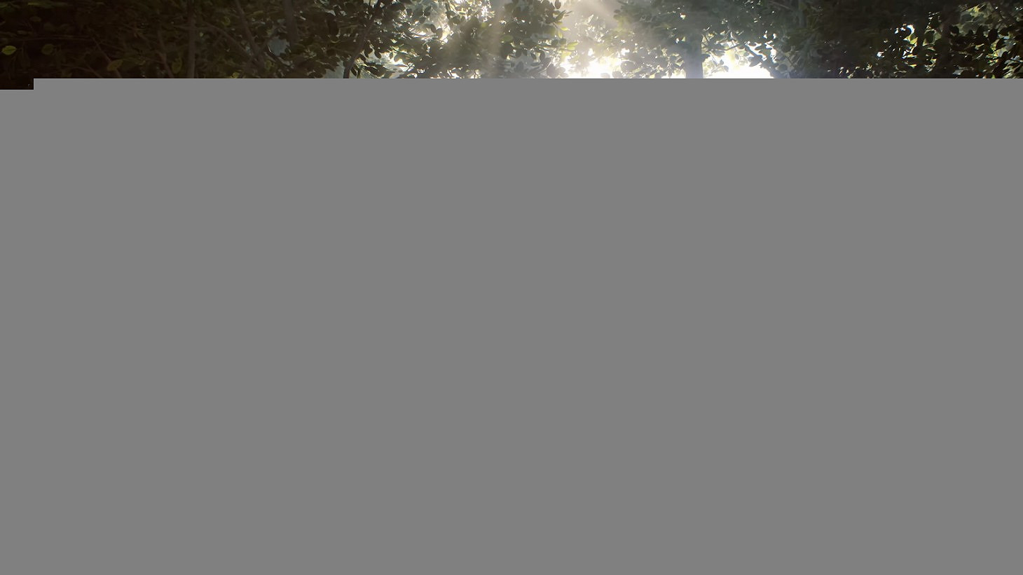 喬爾演員特洛伊·貝克出演《奪寶奇兵》印第安納·瓊斯 喬爾演員特洛伊·貝克出演《奪寶奇兵》印第安納·瓊斯