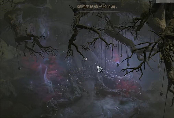 《暗黑4》密語之樹打開位置