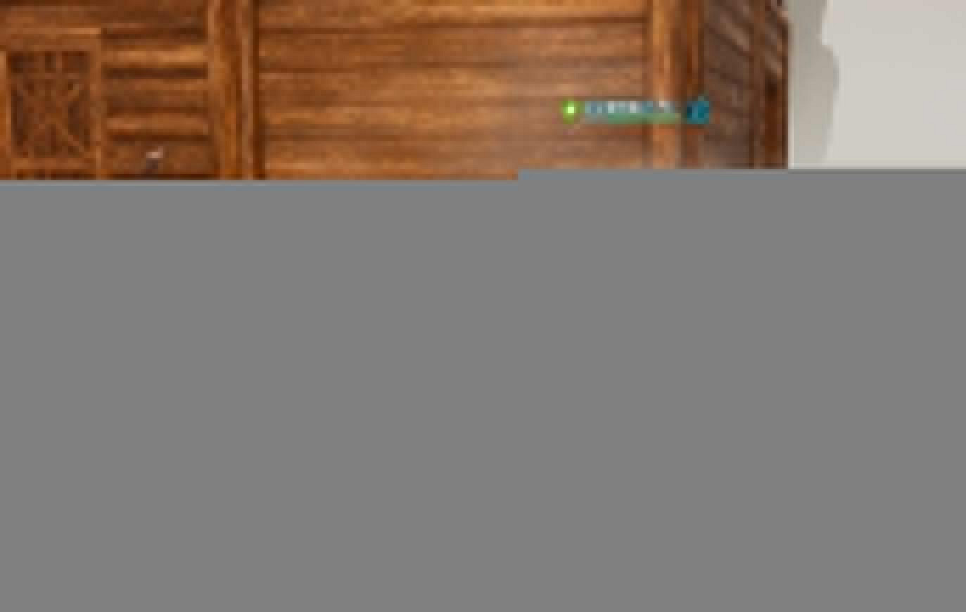 《幻獸帕魯》帕魯泡溫泉方法