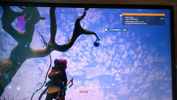 《幻獸帕魯》小麥位置介紹