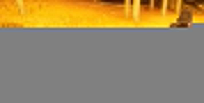 《幻獸帕魯》解除通緝狀態的方法