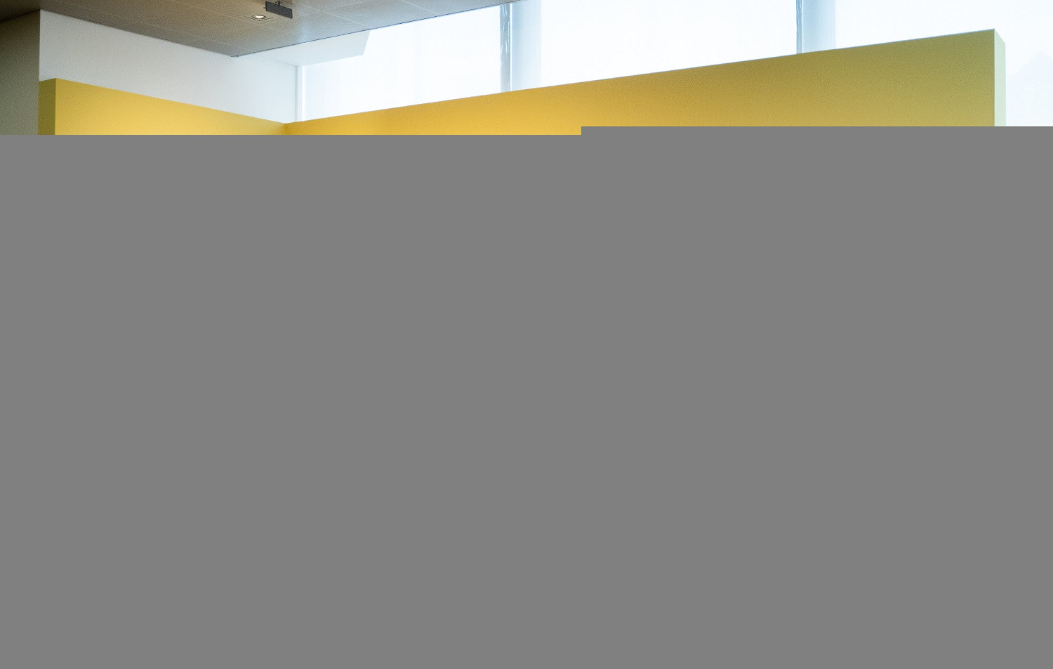 黃牛活該!梵高博物館員工盜取《寶可夢》聯名卡遭開除 黃牛活該!梵高博物館員工盜取《寶可夢》聯名卡遭開除