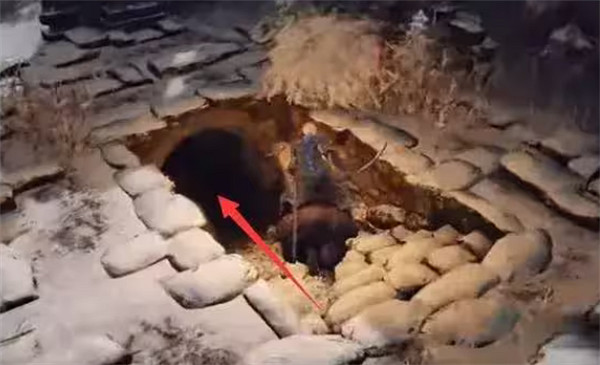 《艾爾登法環》加6石頭獲取方法